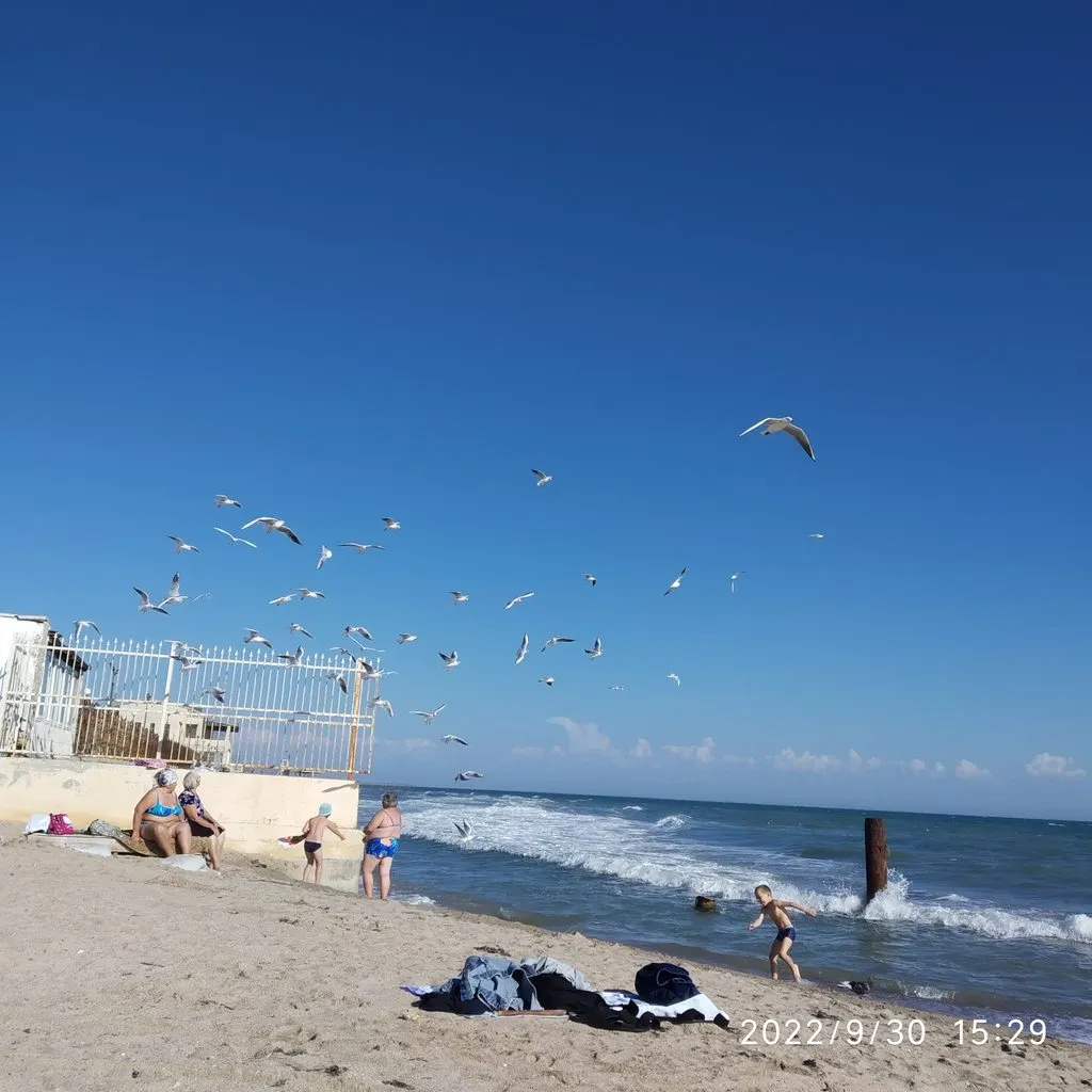 Чайная беседка