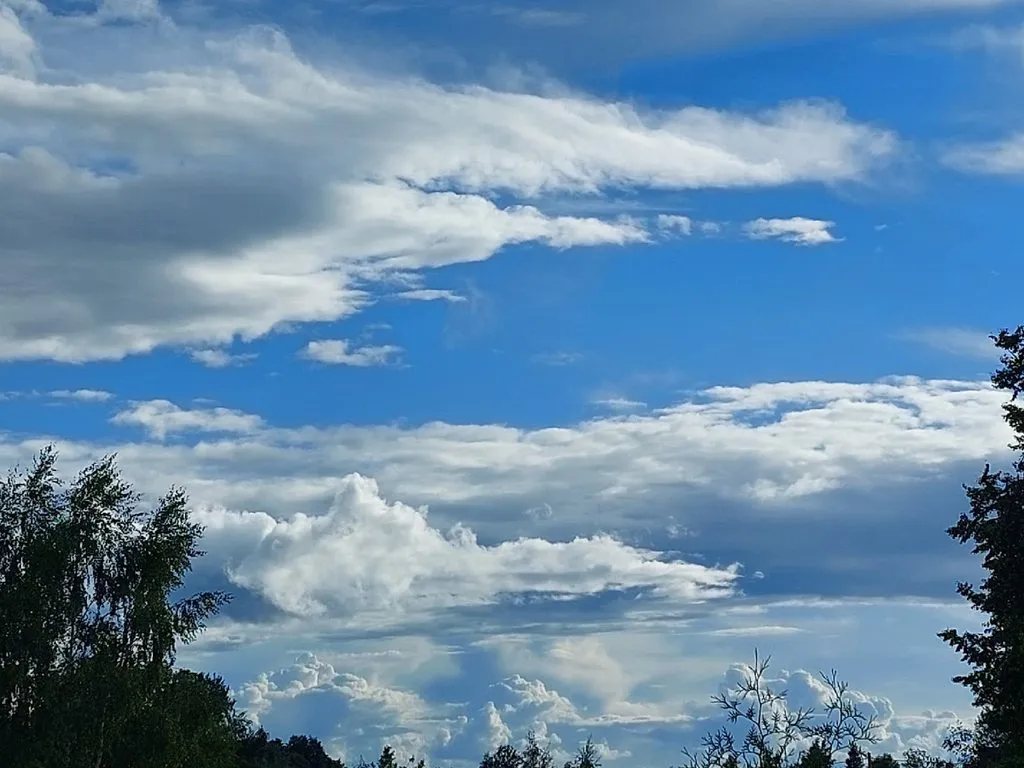 Такое разное небо