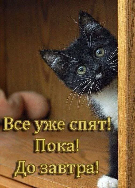 Кафе "У пани Сони"