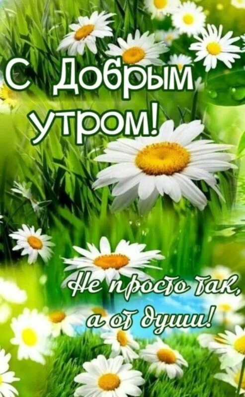 Кафе "У пани Сони"