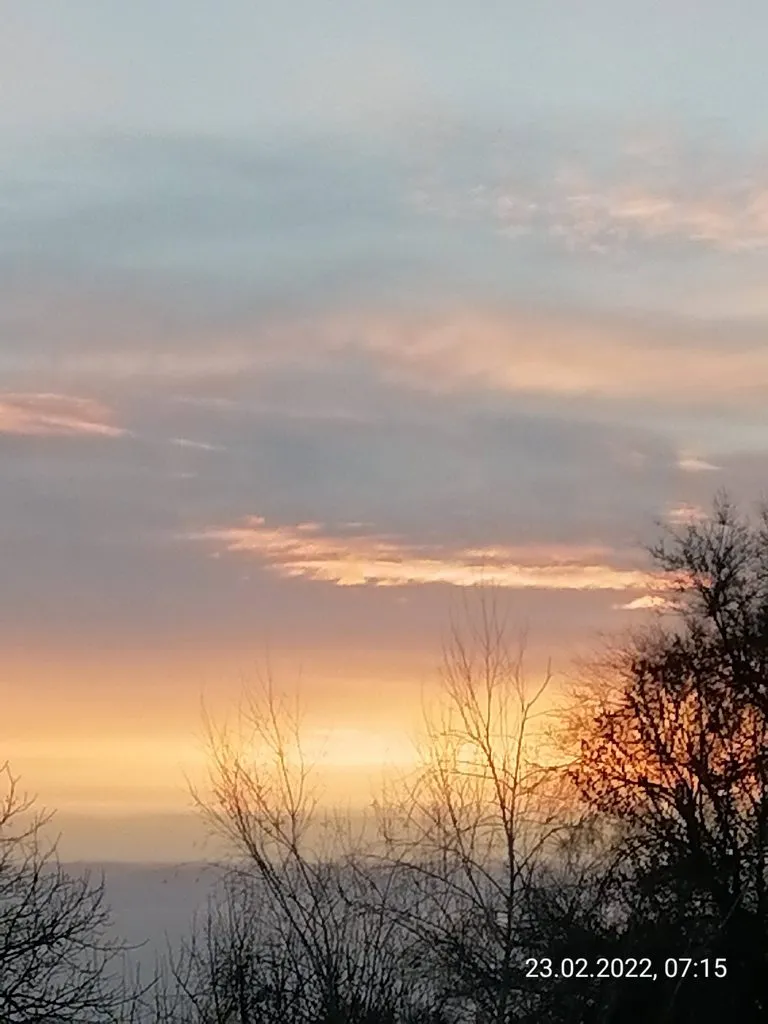 Чайная беседка