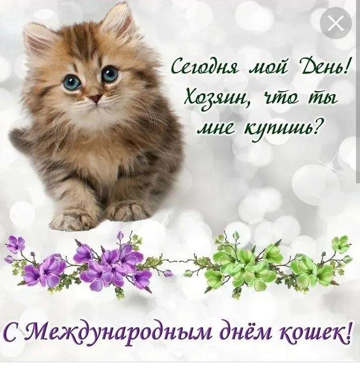 Кафе «У пани Сони»