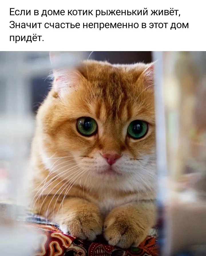 Кафе «У пани Сони»
