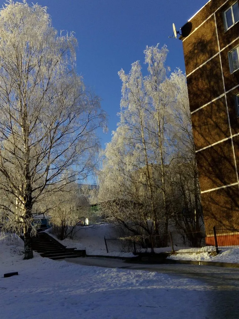 Чайная беседка