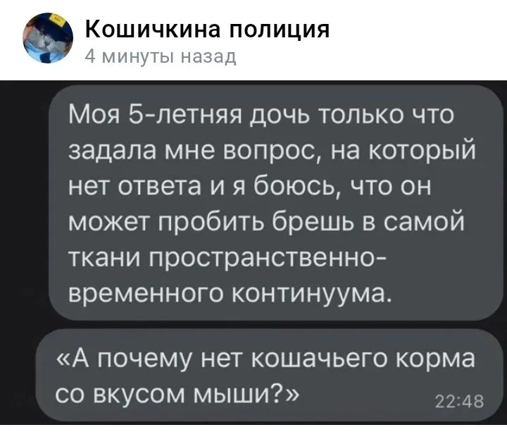 Кошичкина полиция