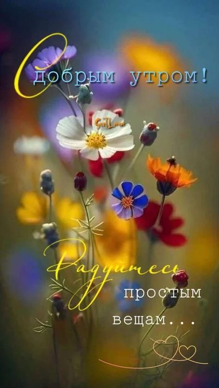 Кафе "У пани Сони"