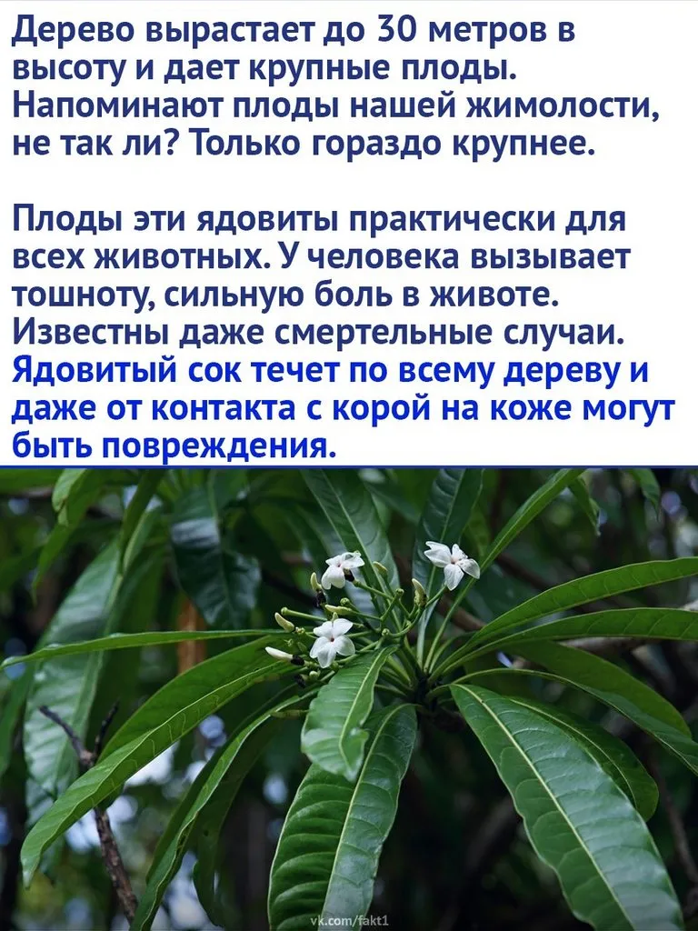 Это интересно!
