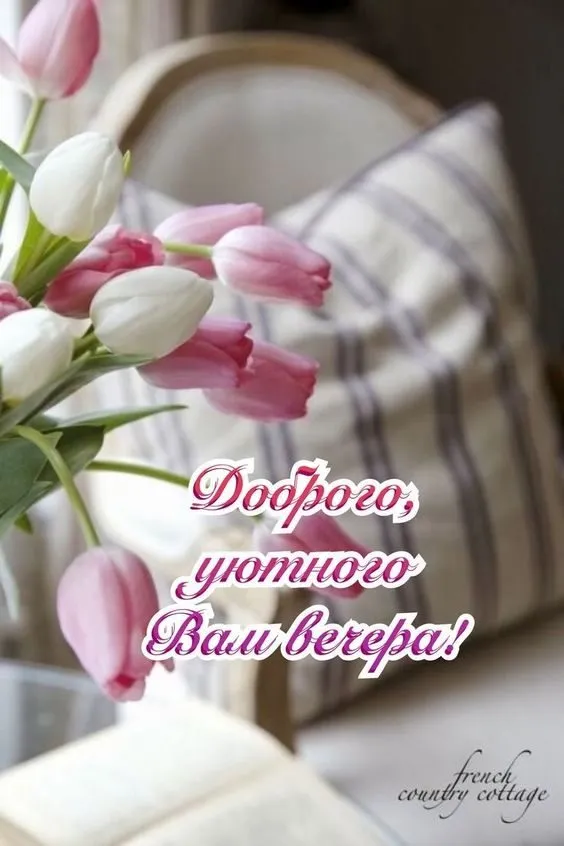 Tapтaлeтки & Ко