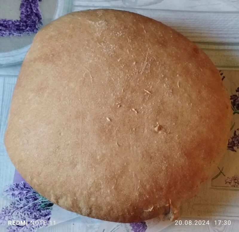 Tapтaлeтки & Ко