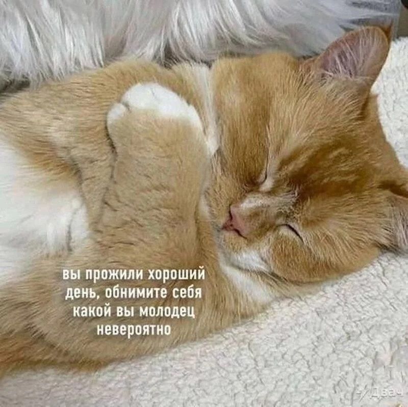 Кафе "У пани Сони"