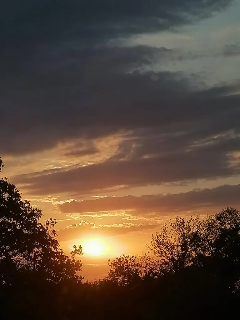 Чайная беседка