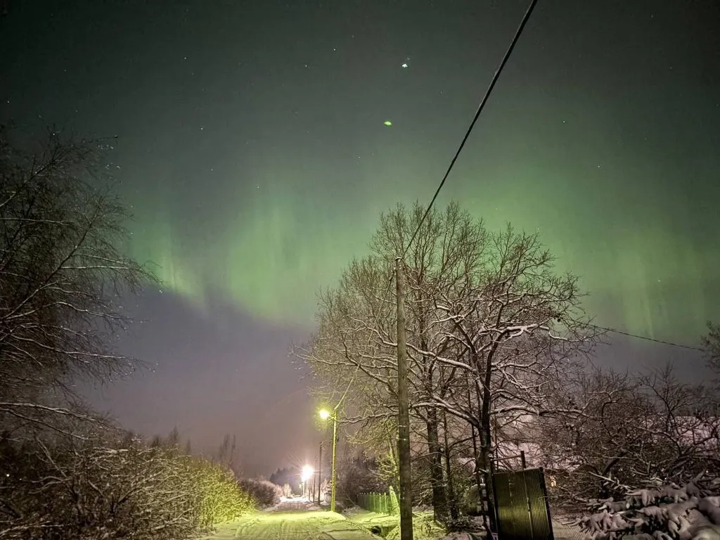 Пчёлки очень любят мёд