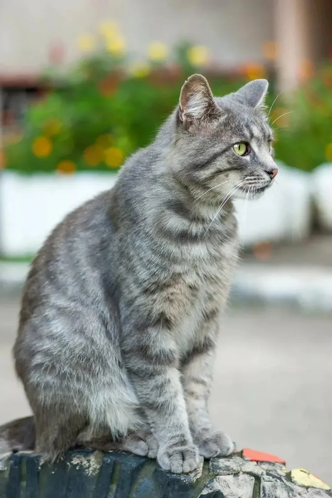 Рассказы для души