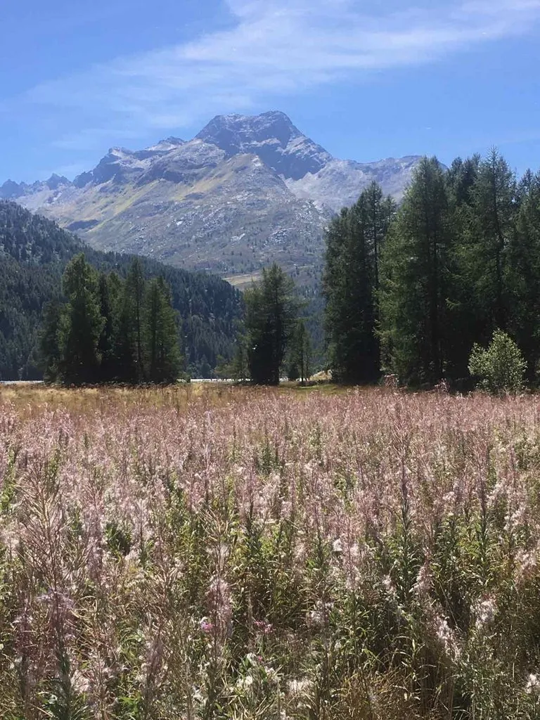 Чайная беседка