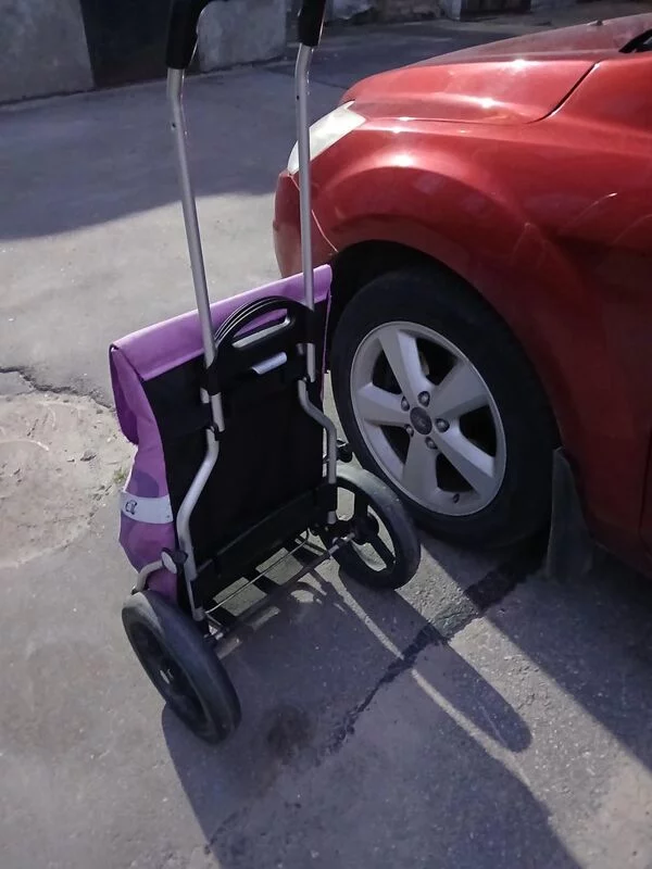 Хозяйственные сумки-тележки