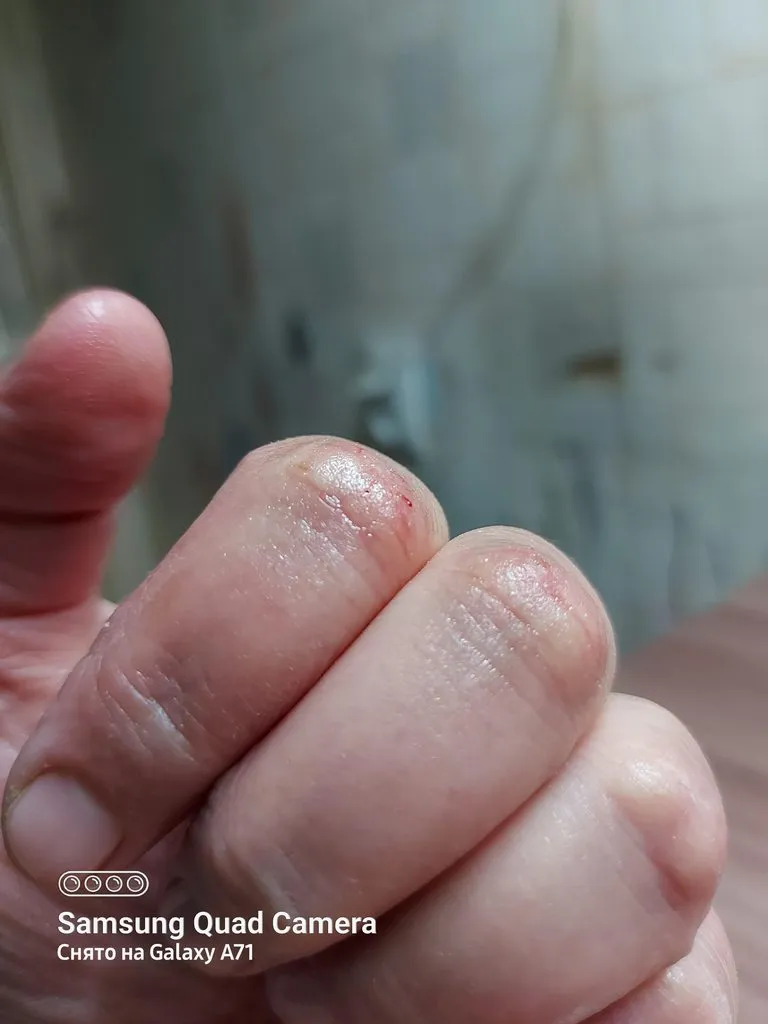 Tapтaлeтки & Ко