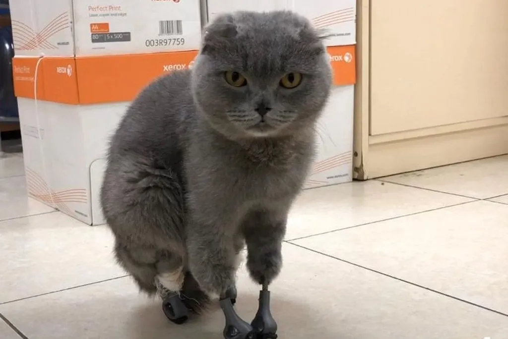 Рассказы для души