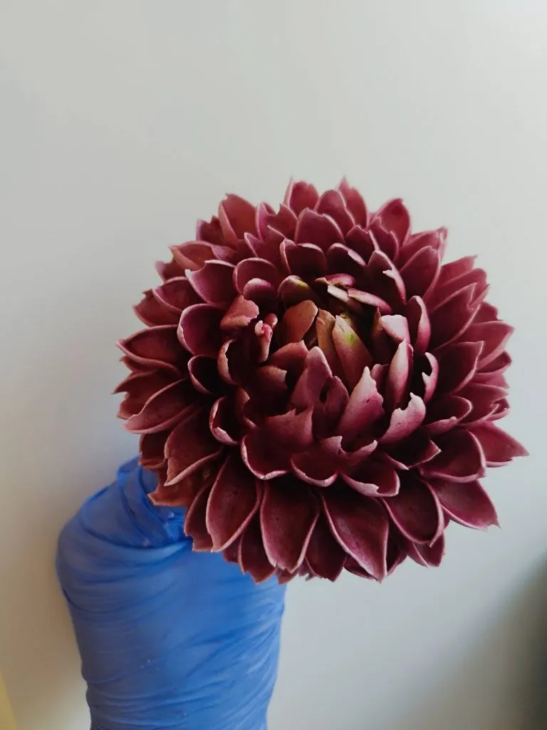 Зефирные букеты и композиции