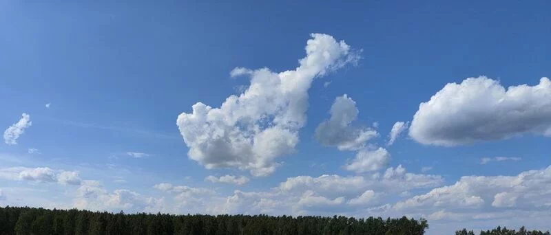 Такое разное небо