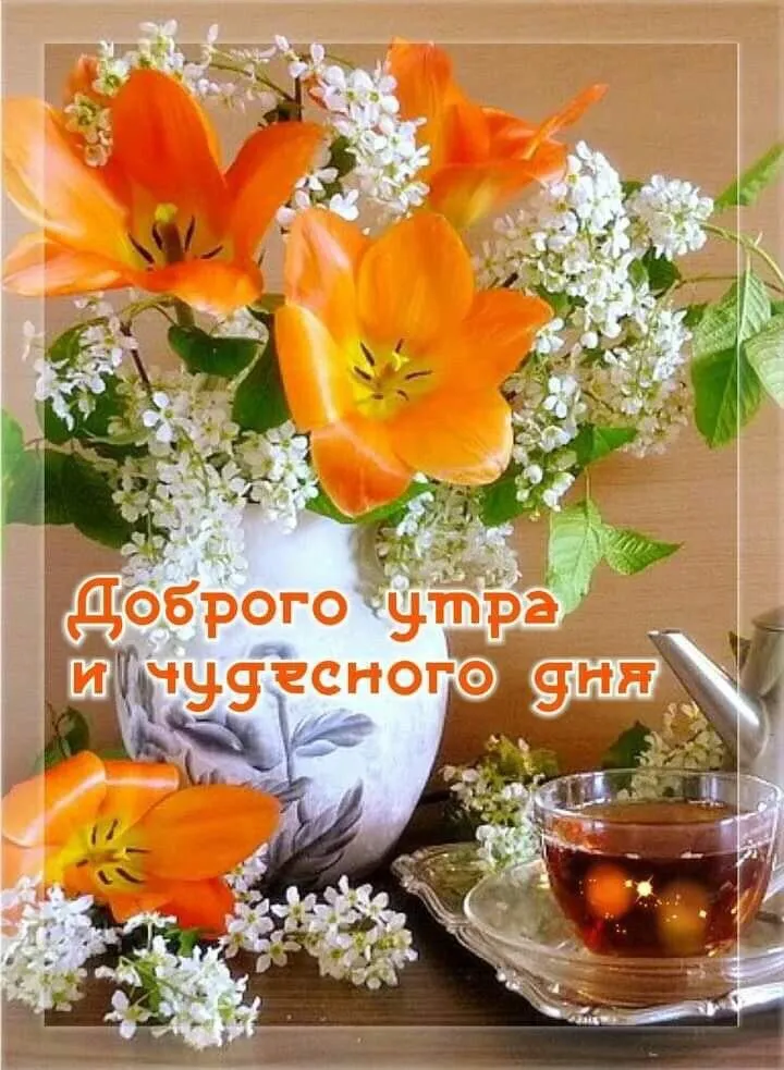 Чайная беседка