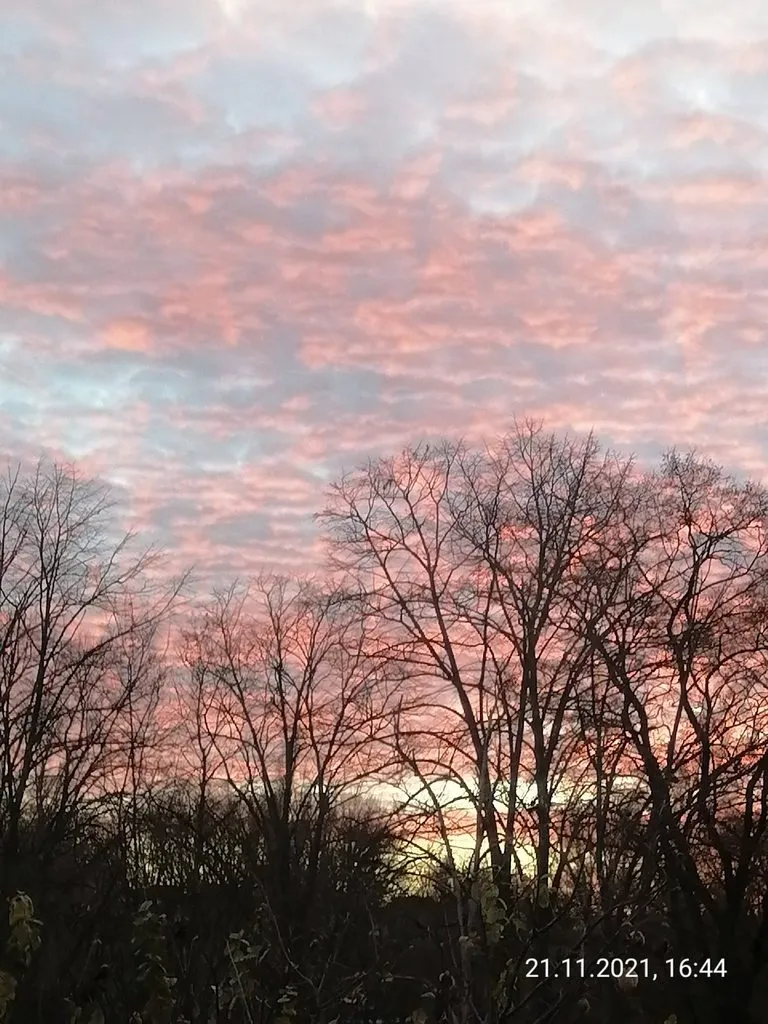 Такое разное небо