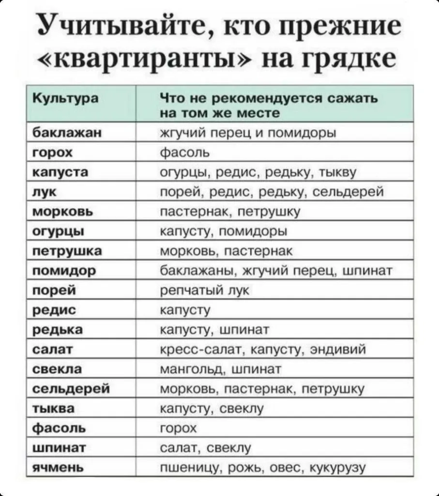 Садово-огородная  инфографика