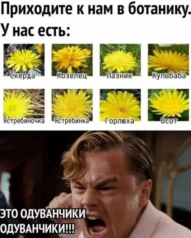 Посмеялся сам - поделись с другом!!!