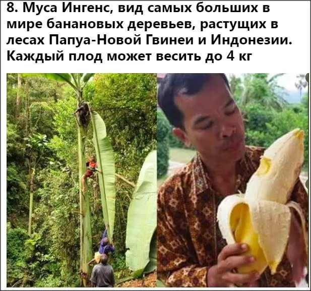 Это интересно!