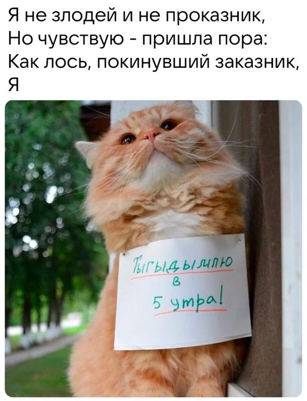 Всюду рифмы