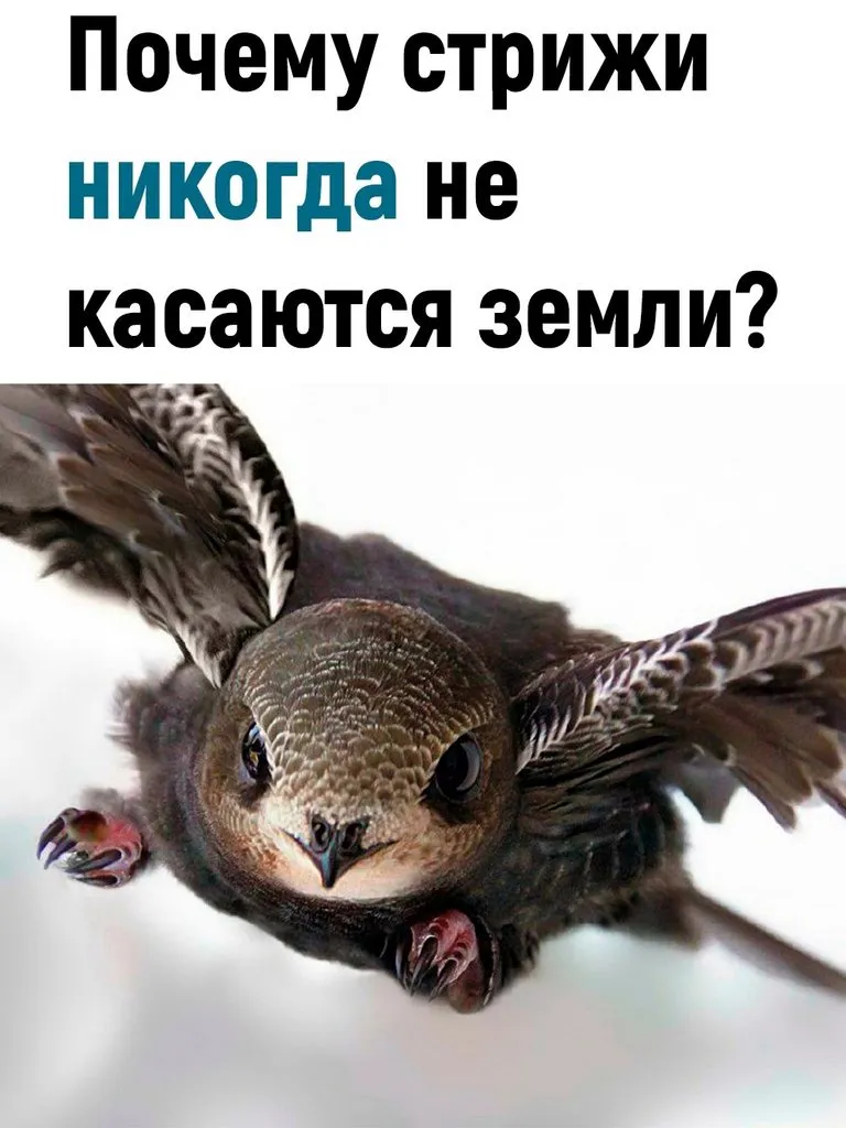Это интересно!
