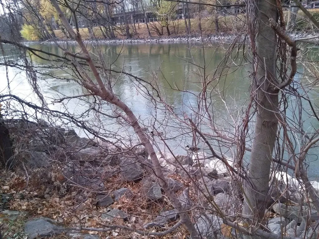 Чайная беседка