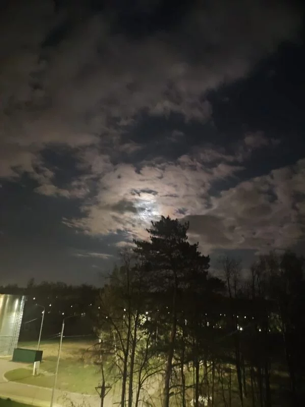 Такое разное небо