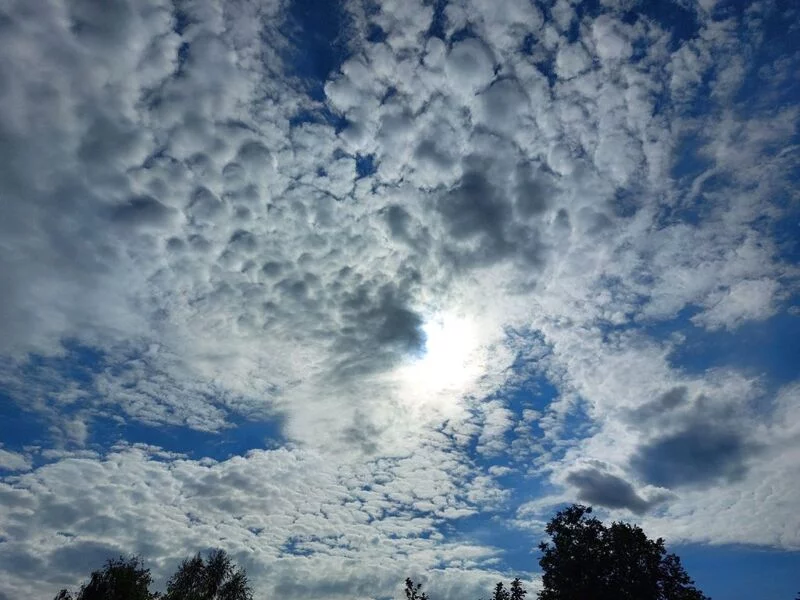 Такое разное небо