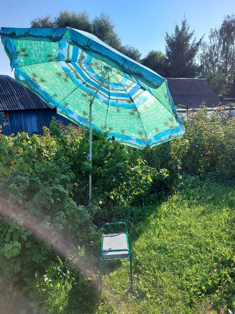 Кафе «У пани Сони»