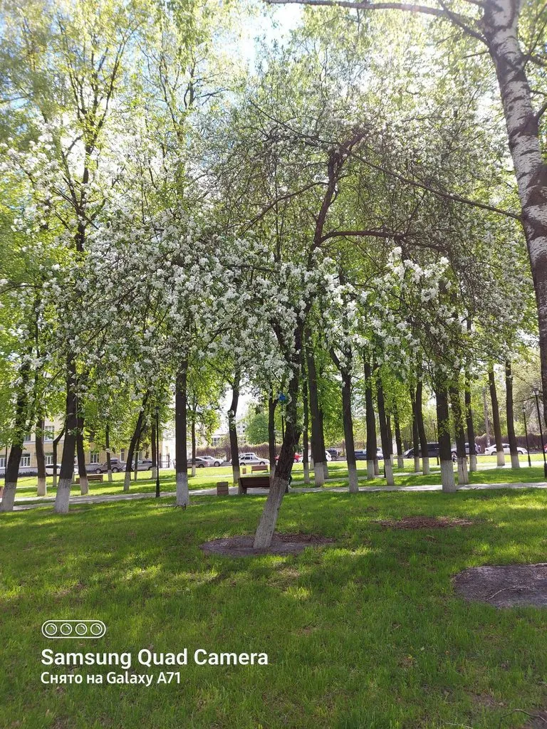 Чайная беседка