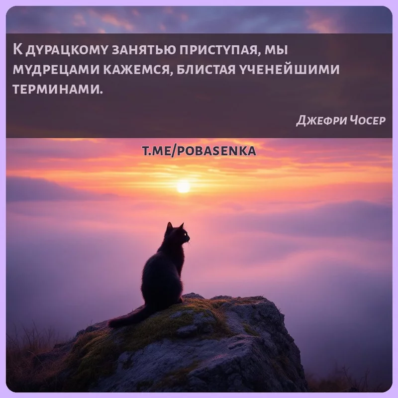 «К дурацкому занятью приступая, мы мудрецами кажемся, блистая ученейшими...» height="550" width="550"