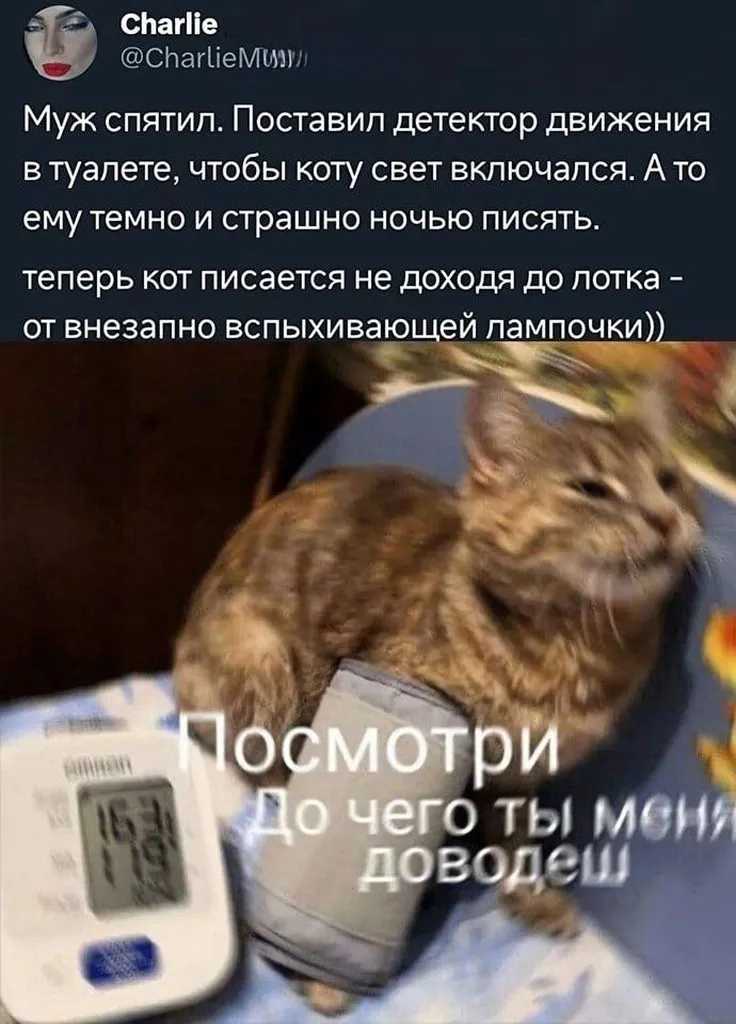 Посмеялся сам - поделись с другом!!!