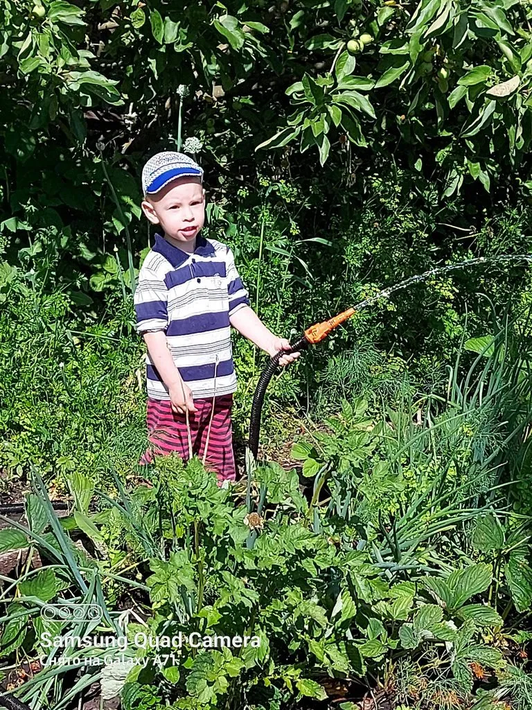 Чайная беседка