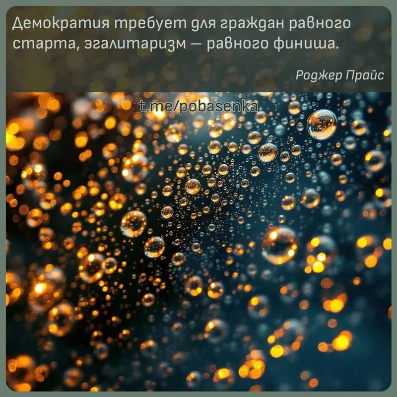 «Демократия требует для граждан равного старта, эгалитаризм равного...» height="550" width="550"