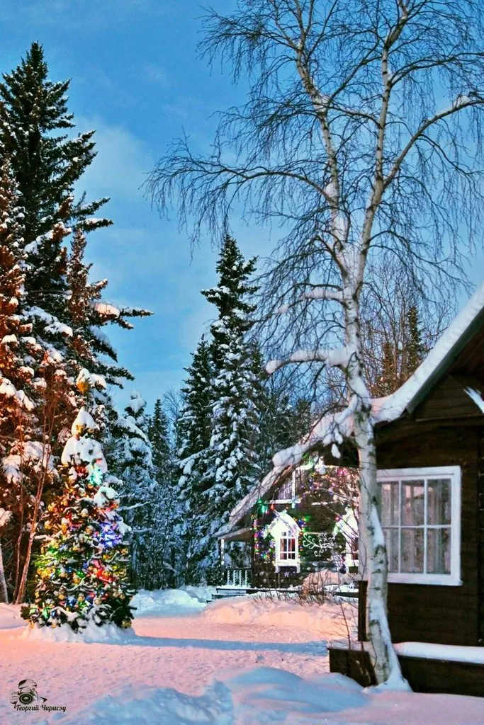 Чайная беседка