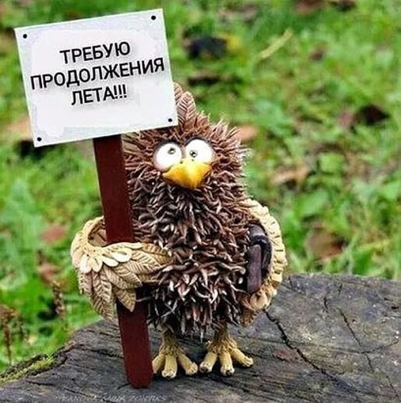 Кафе "У пани Сони"