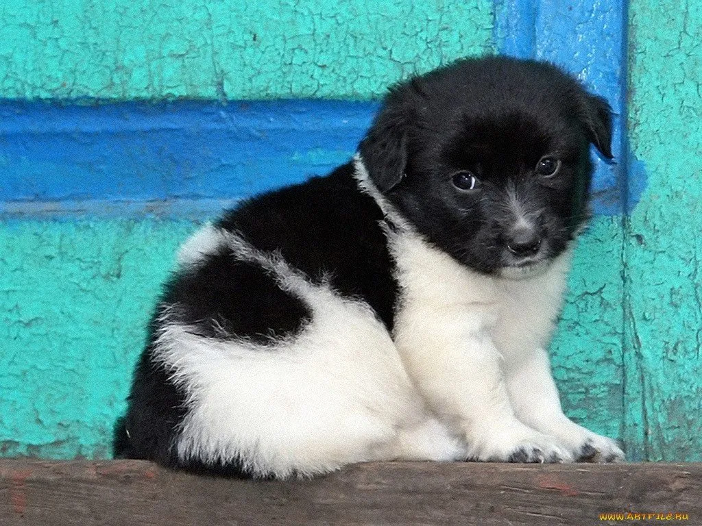 Рассказы для души