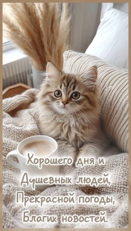 Кафе "У пани Сони"