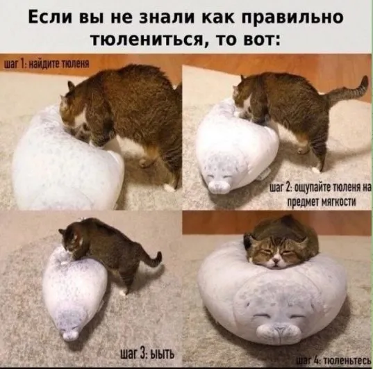 Посмеялся сам - поделись с другом!!!