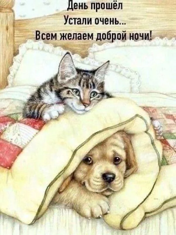 Кафе "У пани Сони"