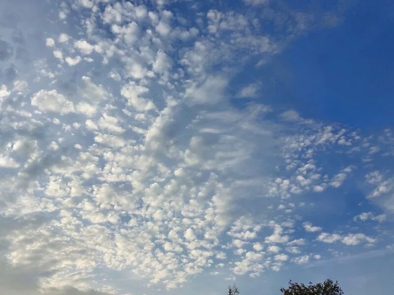 Такое разное небо