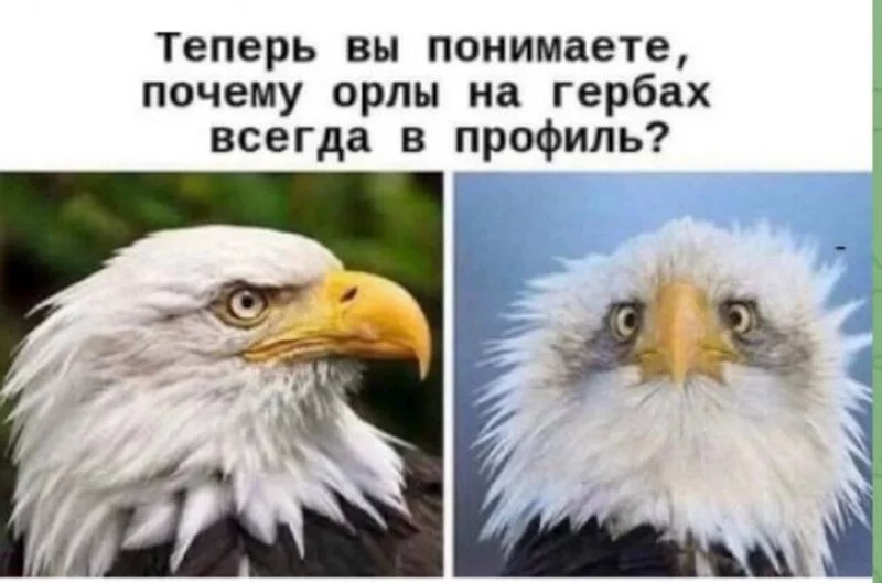 Посмеялся сам - поделись с другом!!!
