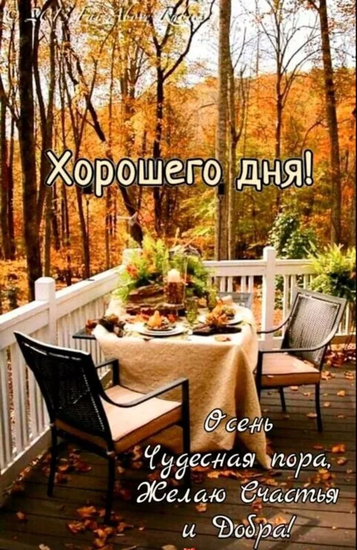 Кафе "У пани Сони"