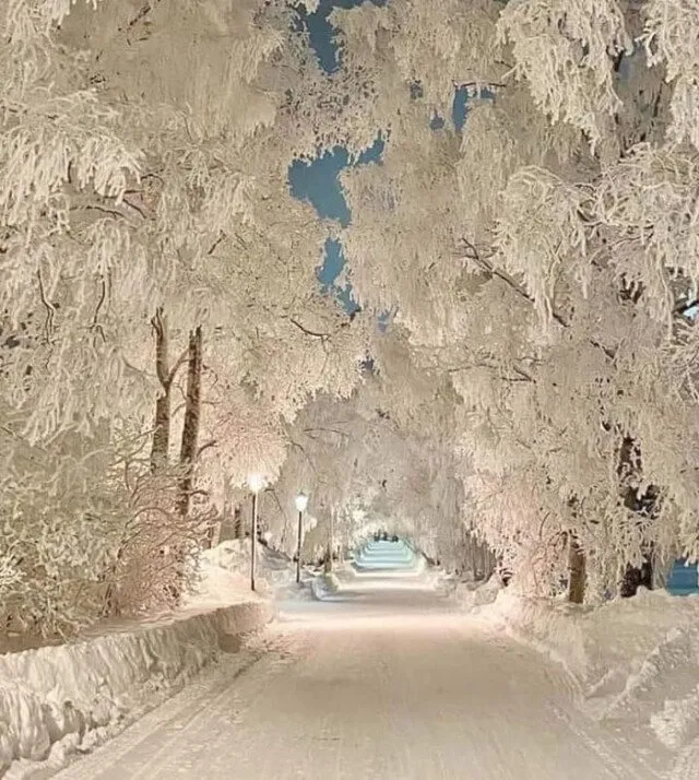 Прекрасное!