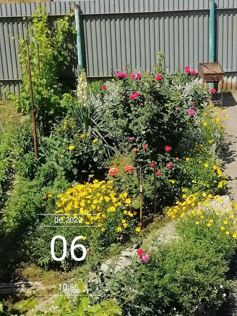 Чайная беседка